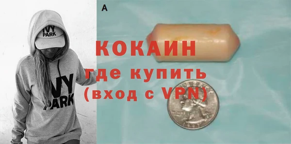 гашик Гусь-Хрустальный