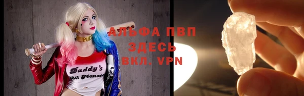 гашик Гусь-Хрустальный