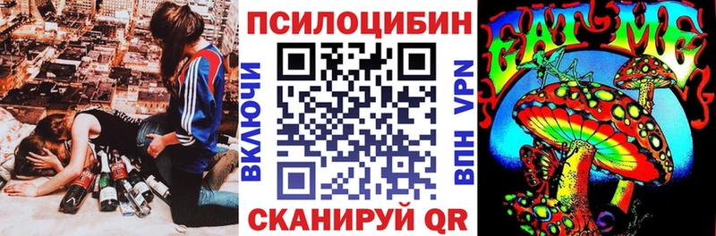 Купить где  Конаково  Галлюциногенные грибы GOLDEN TEACHER 